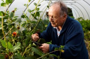 Photo of Retiree getting out in nature to boost wellbeing