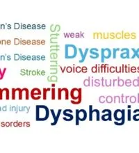 Word cloud illustrating the service offered by the speech and language therapy team