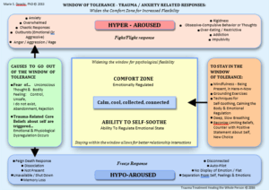 WINDOW OF TOLERANCE - TRAUMA / ANXIETY RELATED RESPONSES: