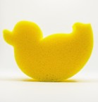 Image of a plastic duck